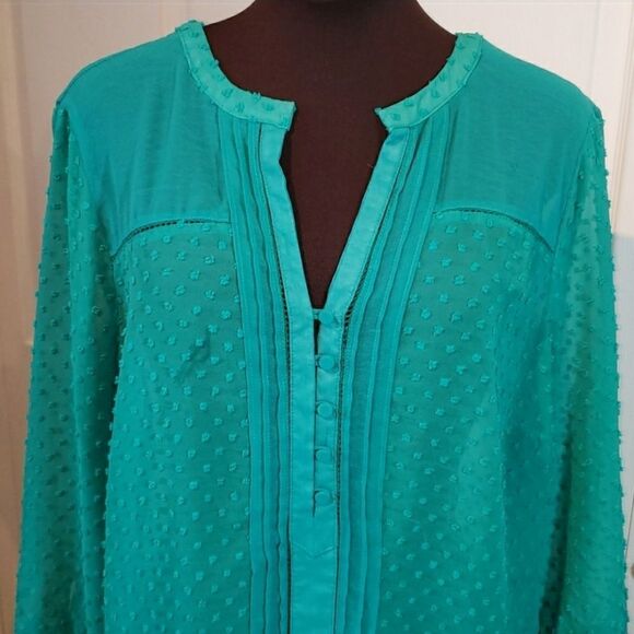 Romy Sheer Green Long Sleeve Blouse - Picture 2 of 7